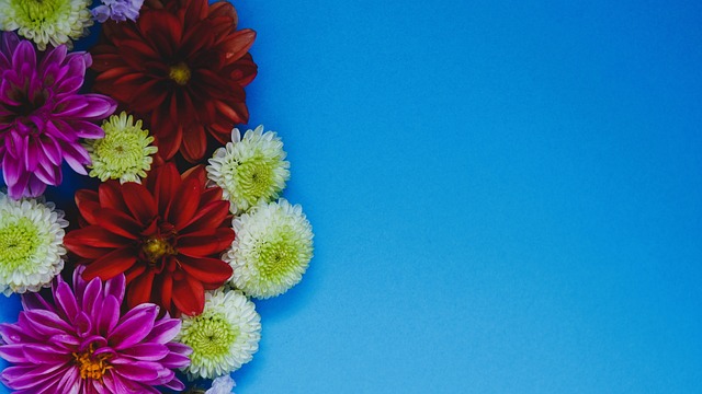 马拉多纳不 马拉多纳不