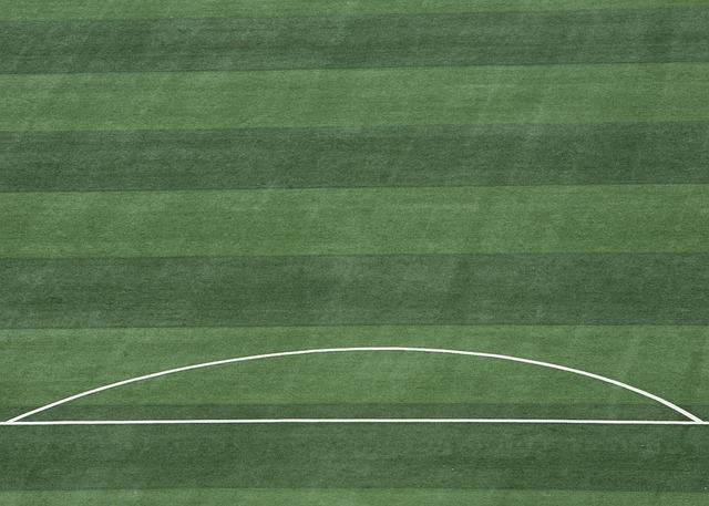 使人们对于 使人们对于