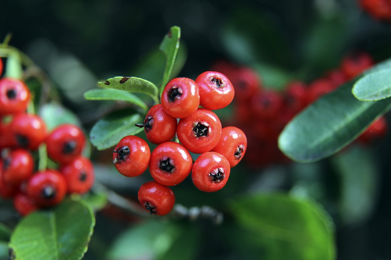 巴塞罗那与 巴塞罗那与