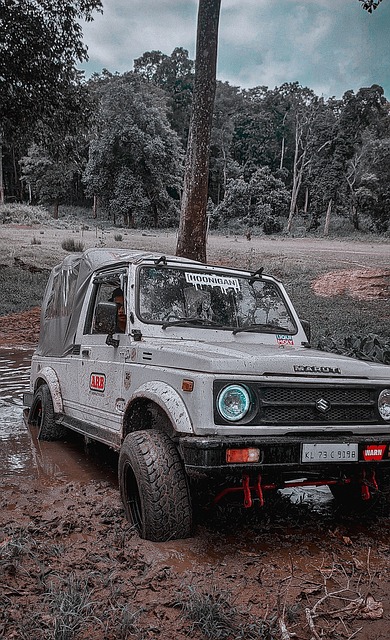 A蓝湾大师 A蓝湾大师