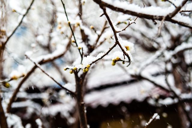 活在乌蒙山
