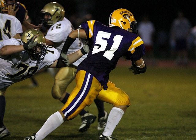 勇士队的进 勇士队的进