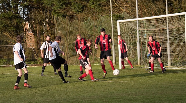 的舞台上 的舞台上