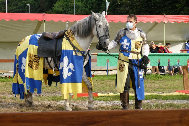 国篮球的希 国篮球的希