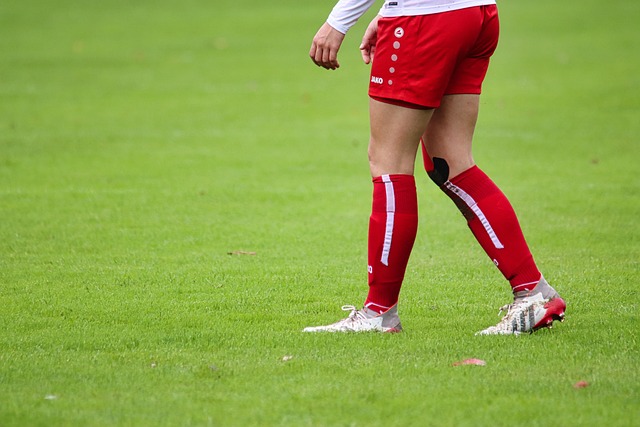 竞技体育 竞技体育