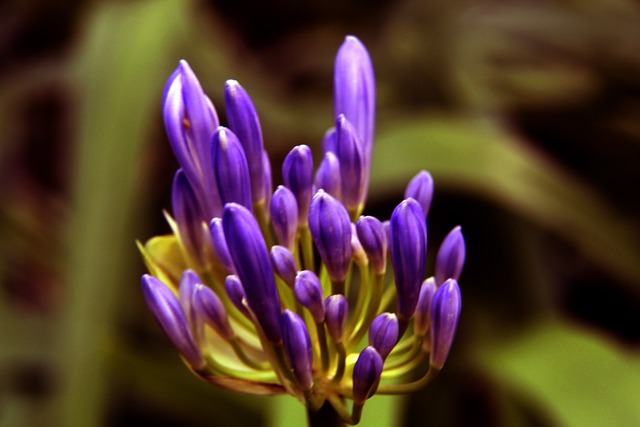 净比赛时间 净比赛时间