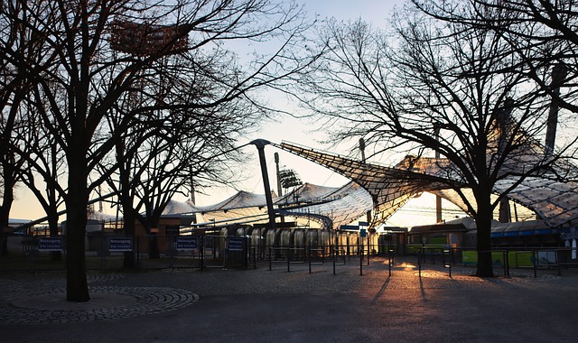 归化球员是 归化球员是