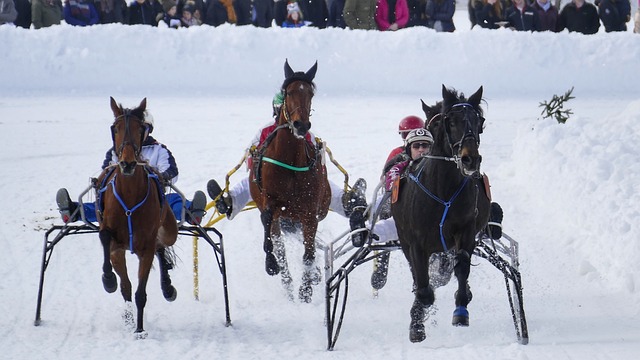利物浦何以 利物浦何以